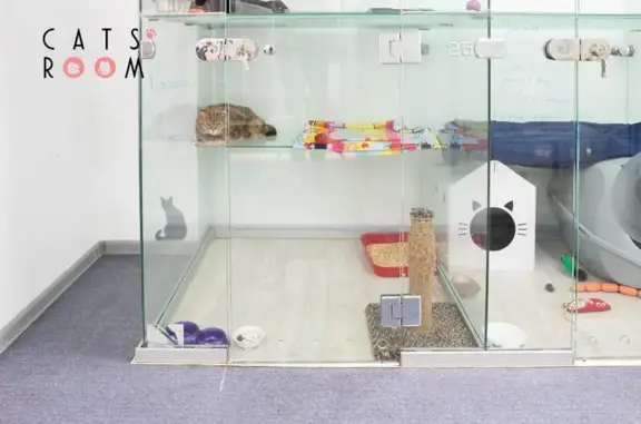 Отель для кошек Cats` Room на Нижегородской улице