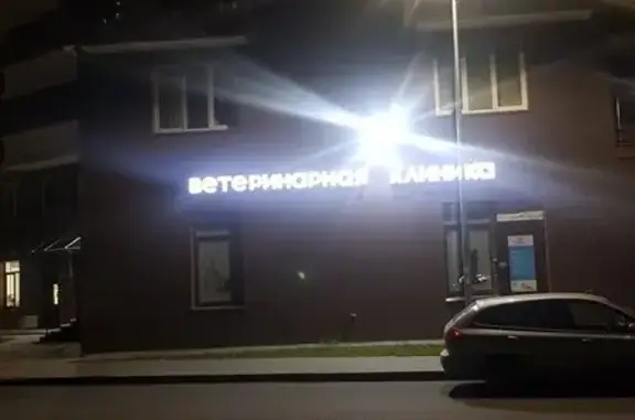 Innvet, ветеринарная клиника