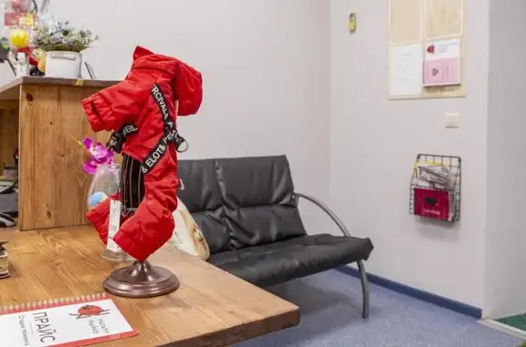 Студия груминга Натали Найко