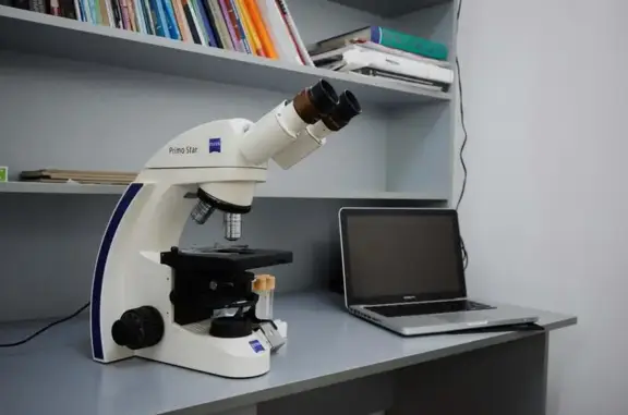 Статус, ветеринарный лечебно-диагностический и онкологический центр