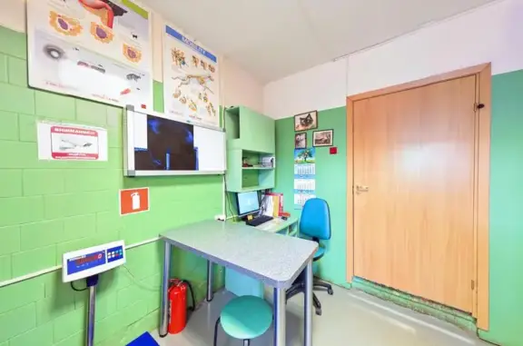 Балто, ветеринарная клиника