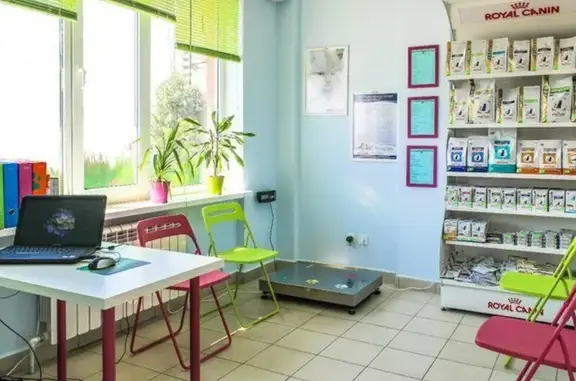 Четыре Лапы, ветеринарная клиника