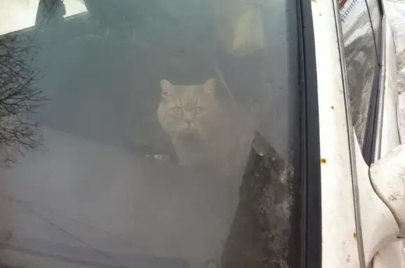 Сопико, ветеринарный центр