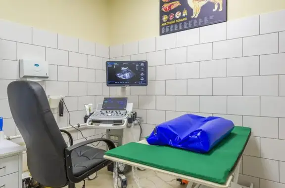 Зоогалерея, ветеринарная клиника