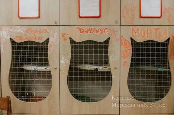 Гостиница для кошек и мелких домашних животных Котэлье