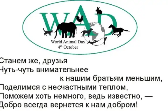 Ветеринарный кабинет на улице Савина, 33