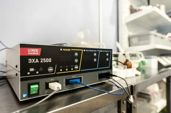 Большаков ОнкоVet, ветеринарная клиника