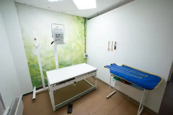 Профессорская ветеринарная клиника в Орджоникидзевском районе