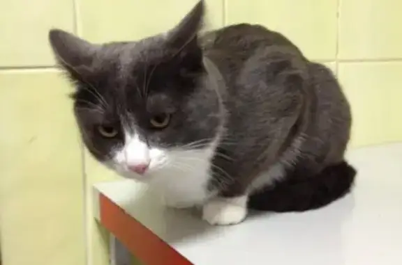 Ветеринарная клиника Алека на Октябрьской улице