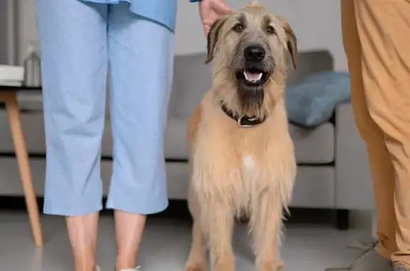 Ветеринарная клиника Зверополис на метро Орехово