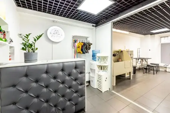 Груминг-студия У меня лапки на метро Тимирязевская