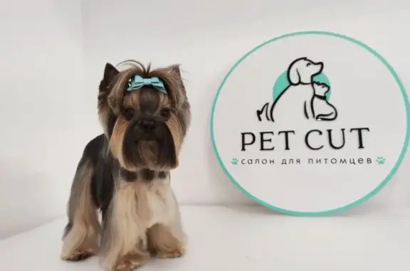 Груминг-салон Pet Cut в Петровском переулке