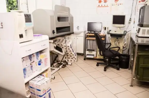 Клиника Ветеринар Тольятти на улице Свердлова