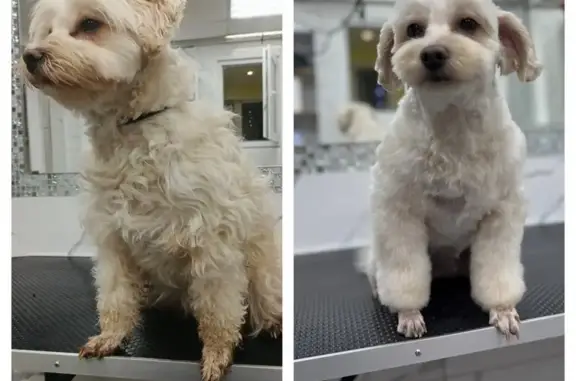 Зоосалон Грумиум