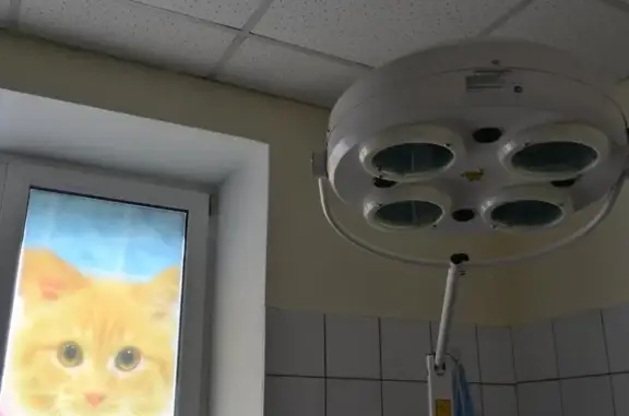 Сиббиовет, ветеринарная клиника