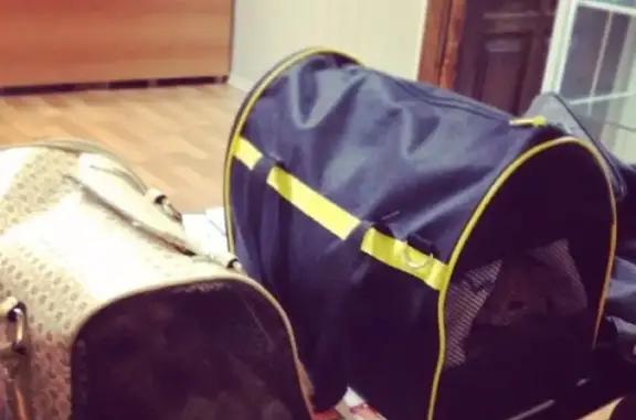 Ветеринарная клиника Визави на Октябрьской улице