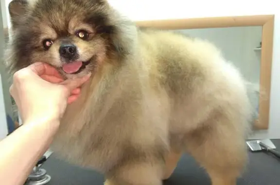 Зоосалон Белый Оникс