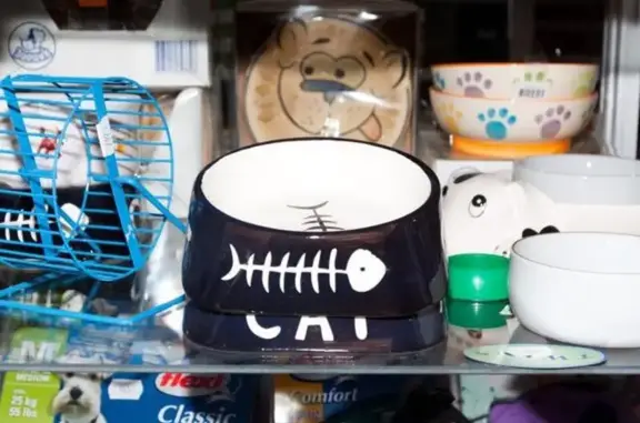 Molli, ветеринарный центр