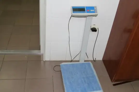 Ветеринарная клиника Доктор А-вет на Московском тракте