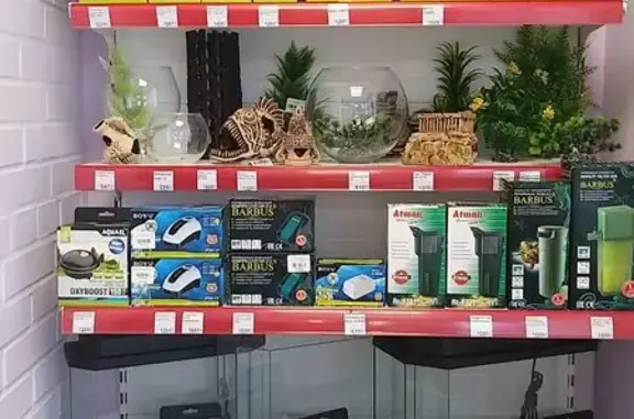 Артемон, ветеринарная клиника