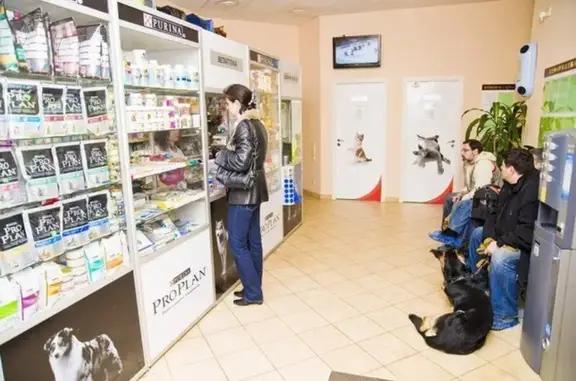 Ветеринарная клиника Aff-vet во Фрунзенском районе