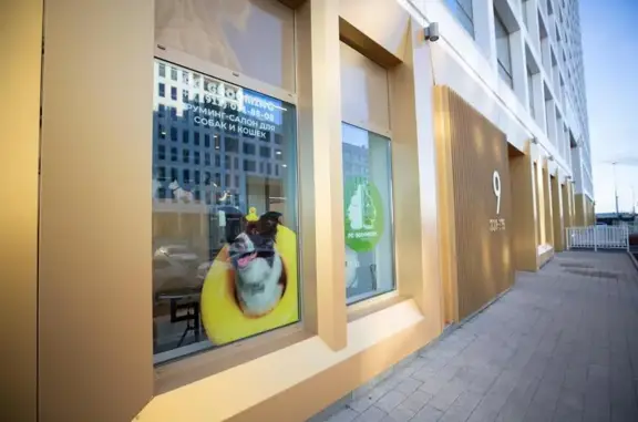 Студия груминга Pg grooming