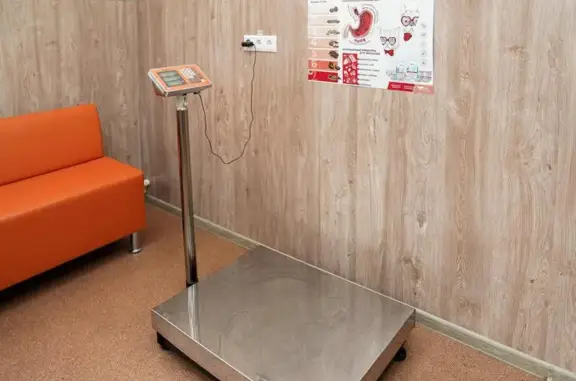 Ветклиника Феникс