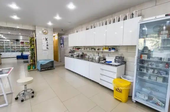 Ветеринарная клиника Белая Медведица на улице Лермонтова