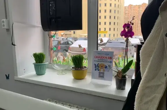 Добрый доктор, ветеринарная клиника