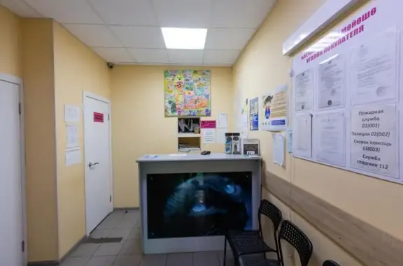 Винкот, ветеринарная клиника