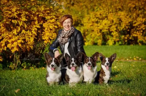 Питомник Верный Друг