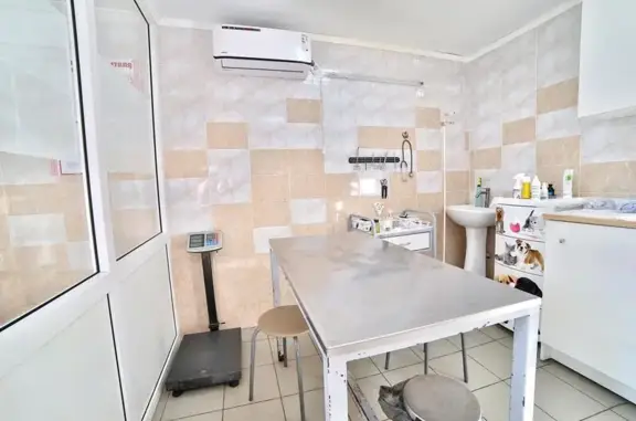 Барон, ветеринарный кабинет