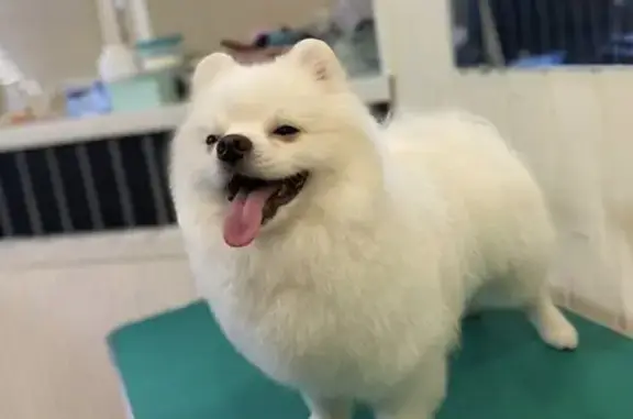 Зоосалон ОлдДжек на 6-й Радиальной улице, 5 к 4