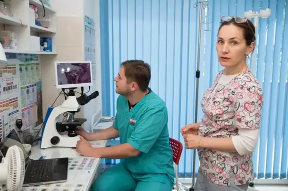 Ветритм, ветеринарная клиника