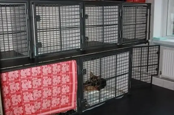 Рувет, зооветцентр