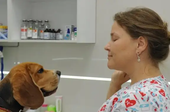 Дженк, ветеринарная клиника