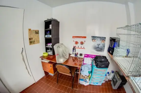 Ветеринарная клиника Альфа-Вет на улице Степана Разина