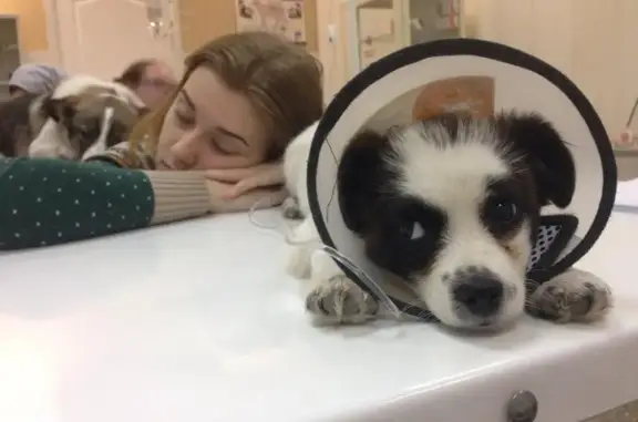 Ветеринарная клиника Собачье сердце в Центральном административном округе