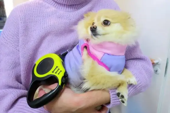 Ветеринарная клиника на Будапештской на улице Димитрова