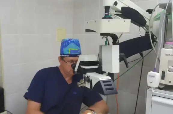 Ветеринарная клиника Веда в Свиблово