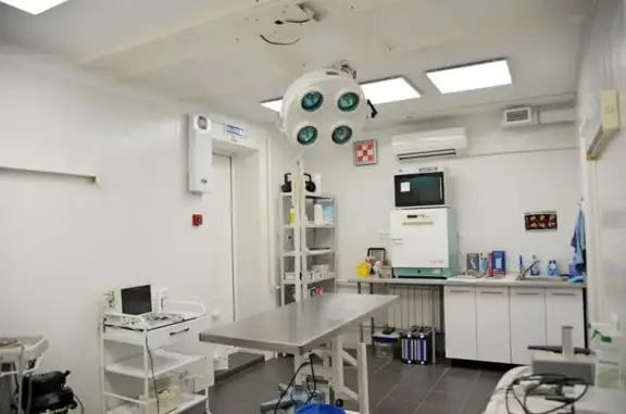 Ветеринарная клиника на метро Текстильщики