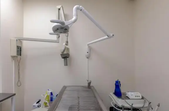 Ситивет, ветеринарный центр