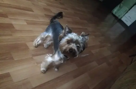 Зоосалон Татьяны Баженовой