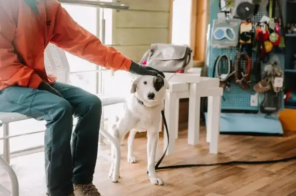 Благотворительный фонд Сострадание НН в Бурнаковском проезде