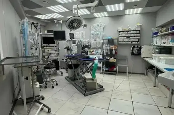 Траствет, ветеринарный центр