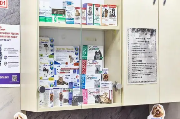 Ветеринарная клиника Лила