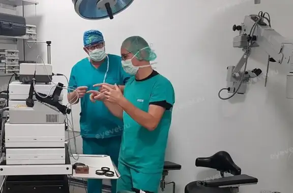 Центр ветеринарной офтальмологии доктора Шилкина А.Г.