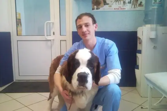 Багира, ветеринарный кабинет