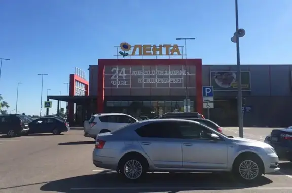 Зоомаркет Лента на Гостилицком шоссе