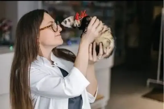 Vet Union, ветеринарный центр